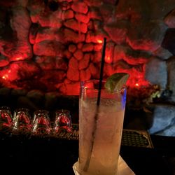 The Owl - Chicago mule