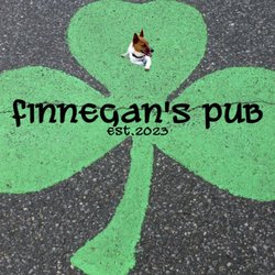 Finnegan’s Pub 302