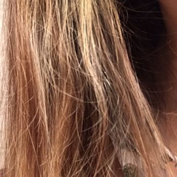 Le Bazaar - Chrissy over processed my hair, ruined it. Not even a Junior Colorist does this. - Hair Salons Near Me - Palm Beach, Florida
