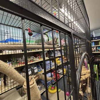 Midway Tropical Fish & Pets - Pet Stores Near Me - Kent, Washington Midway Tropical Fish & Pets - Pet Stores Near Me - Kent, Washington