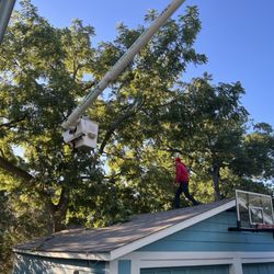 Juarez Landscaping and Tree Services - Juarez Landscaping