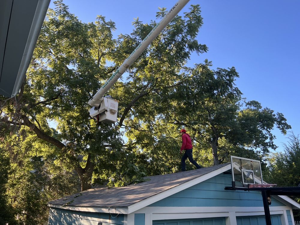 Juarez Landscaping and Tree Services - tree service in Peabody, MA