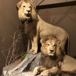Springfield Science Museum