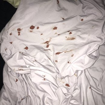 PetSmart Dog Training - My dog bled on this sheet the whole way home. - Pet Training Near Me - Lawrence, Kansas PetSmart Dog Training - My dog bled on this sheet the whole way home. - Pet Training Near Me - Lawrence, Kansas
