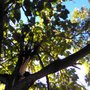 Photo of Be Green Landscaping