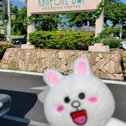 Kaneohe Bay Shopping Center - 11-12-21