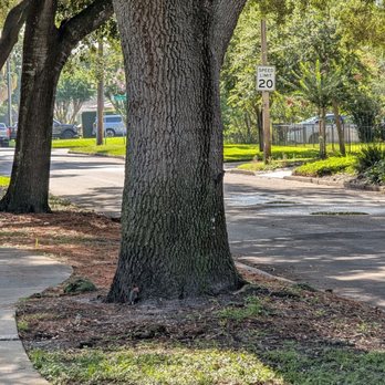 Dartmouth Park - Parks Near Me - Orlando, Florida Dartmouth Park - Parks Near Me - Orlando, Florida