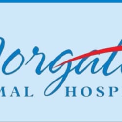 Norgate Animal Hospital