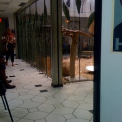 Gregory Fox, DO - Fox Medical Centers - The Entrane to the back waiting room.