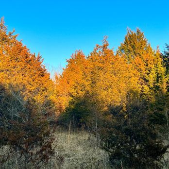 Twin Creek MetroPark - An hour before sunset. - Hiking Near Me - Germantown, Ohio