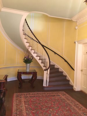 Lowndes Grove by null