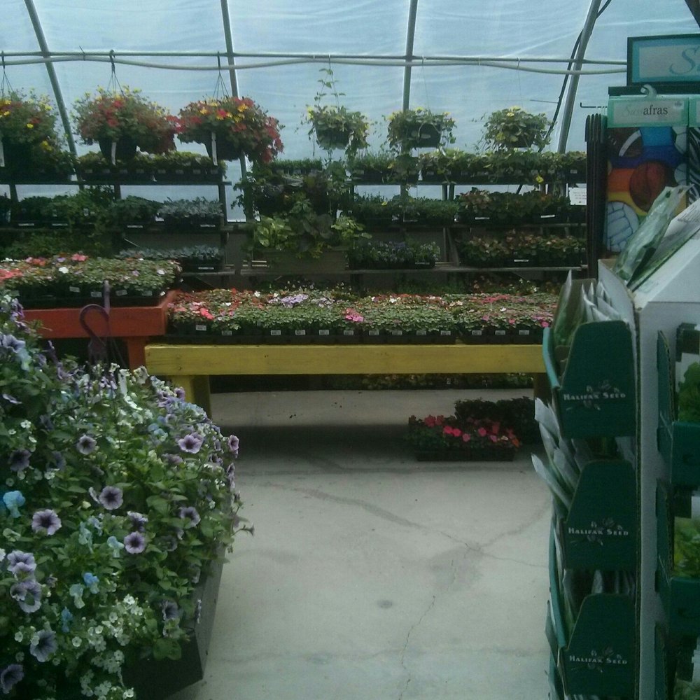 Bloom Greenhouse - Nurseries & Gardening Near Me - Bedford, Nova Scotia