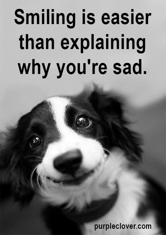 1941 Barber Cottage On the Curve Logo