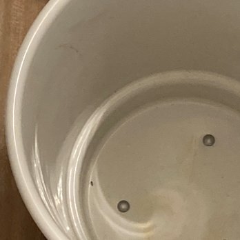 Westview at Irvine Spectrum - Ant in my coffee cup - Apartments Near Me - Irvine, California
