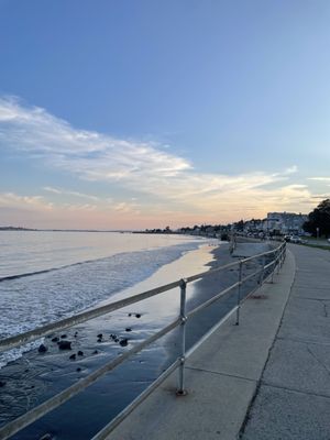 Volo Craft Pizza by null