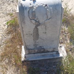 Chasefield Plantation Gravestones - Ornate stone with shells & rocks on top.