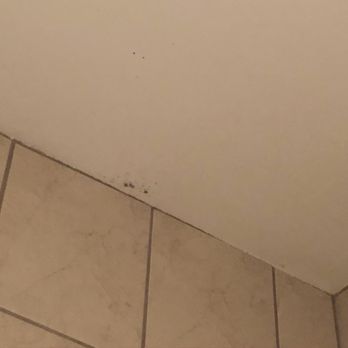Shilo Inns Killeen - Mold in the bathroom above the shower - Hotels Near Me - Killeen, Texas Shilo Inns Killeen - Mold in the bathroom above the shower - Hotels Near Me - Killeen, Texas