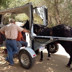 Matthews Veterinary Services - The dentist comes to you. Pretty fancy rig to make your horse comfortable.