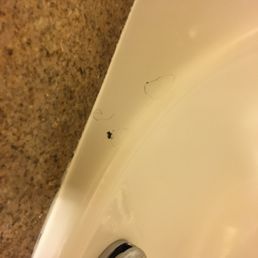 Dark hairs on supposedly
clean tub Dark hairs on supposedly
clean tub