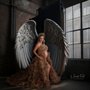 Picture Moments Photography