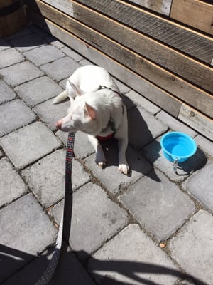 Sunriver Brewing Co. - Galveston Pub by null