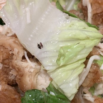 Wingsaholic - Bug in my salad - Chicken Wings Near Me - Anaheim, California Wingsaholic - Bug in my salad - Chicken Wings Near Me - Anaheim, California