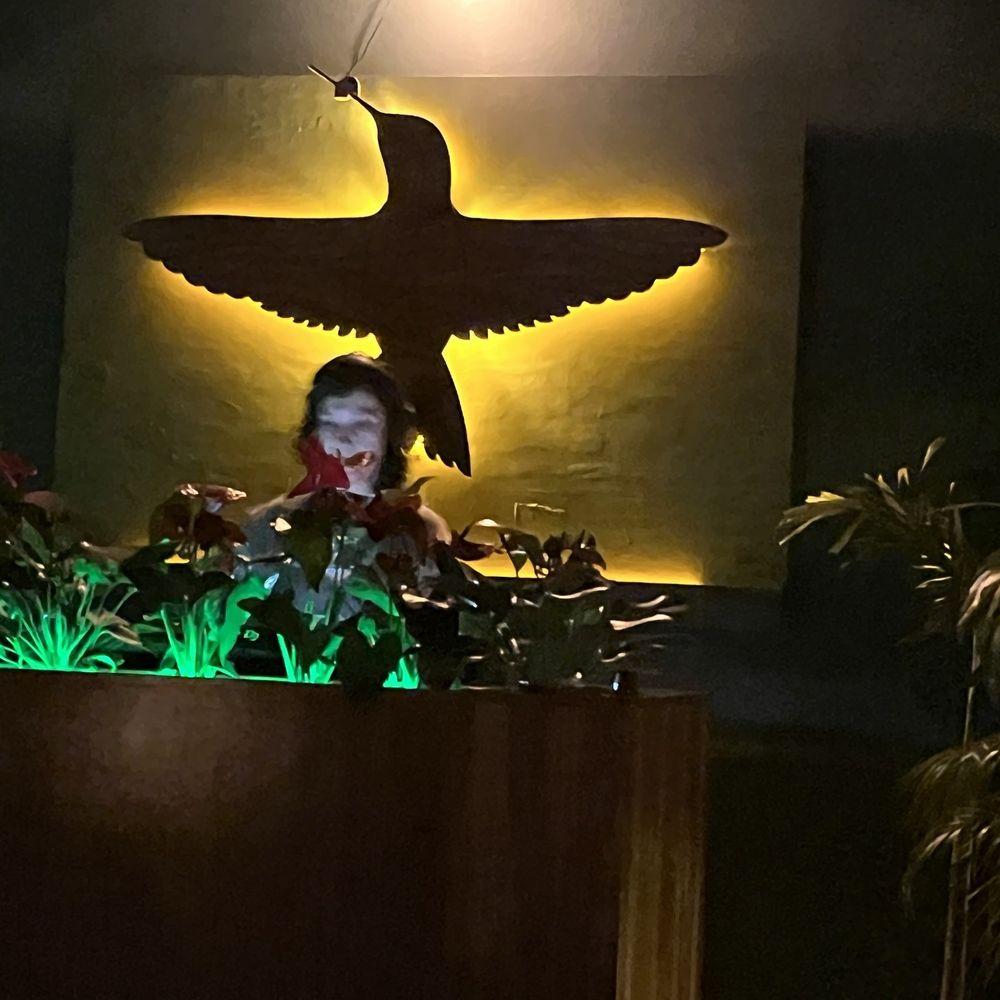 El Colibrí Bar - DJ Voidlove! - Speakeasies Near Me - Puerto Vallarta, JAL El Colibrí Bar - DJ Voidlove! - Speakeasies Near Me - Puerto Vallarta, JAL