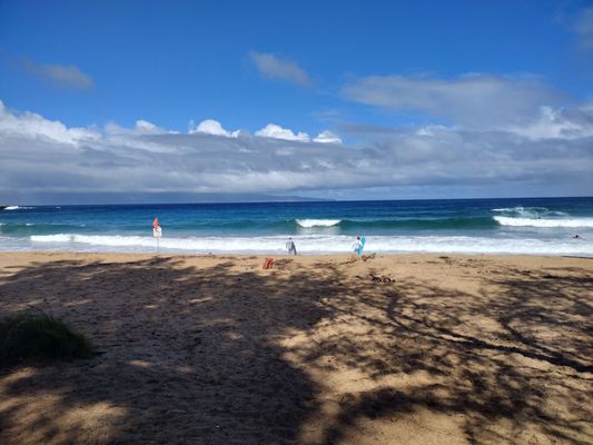 D.T. Fleming Beach Park by null
