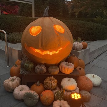 Harvest Nights at Newfields - Festivals Near Me - Indianapolis, Indiana