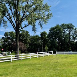 Lincoln Park Community Lake