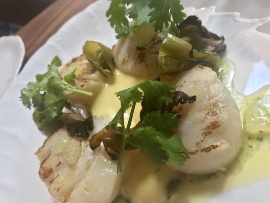 Alobar Yorkville by null Alobar Yorkville by null