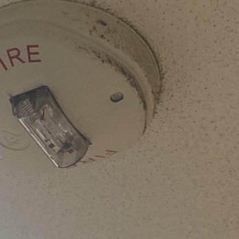 NextCare Urgent Care Gilbert - Spyder web covered fire alarm. - Doctors Near Me - Gilbert, Arizona NextCare Urgent Care Gilbert - Spyder web covered fire alarm. - Doctors Near Me - Gilbert, Arizona