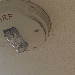 NextCare Urgent Care Gilbert - Spyder web covered fire alarm.