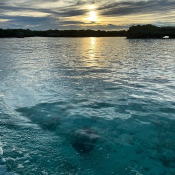 Zegrahm Expeditions - Crystal blue waters at Aldabra Atoll. Seychelles. - Tours Near Me - Seattle, Washington Zegrahm Expeditions - Crystal blue waters at Aldabra Atoll. Seychelles. - Tours Near Me - Seattle, Washington