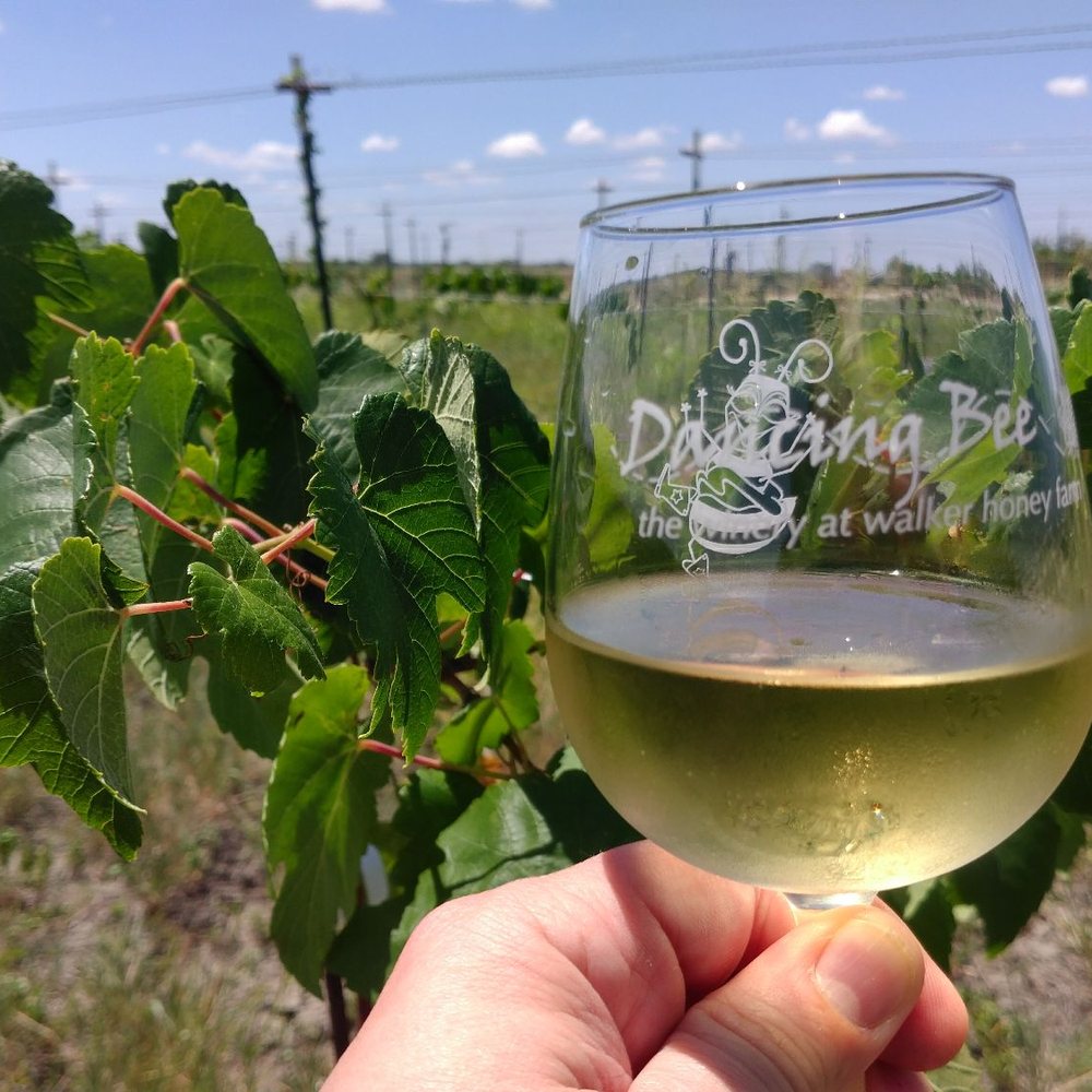 Dancing Bee Winery - Wineries Near Me - Rogers, Texas