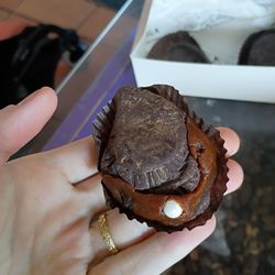 Apalachicola Chocolate & Coffee Company - Chocolate oyster