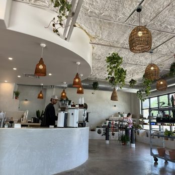 Palomino Coffee - Coffee Roasteries Near Me - Austin, Texas