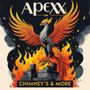 Photo of Apex Chimney's & More