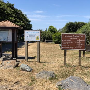 Hammond Trail - Hiking Near Me - McKinleyville, California