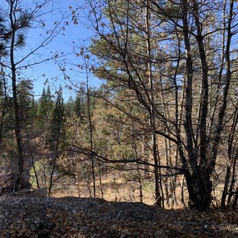 Oak Knoll Lodge - This was the view from our porch. - Hotels Near Me - Big Bear Lake, California Oak Knoll Lodge - This was the view from our porch. - Hotels Near Me - Big Bear Lake, California