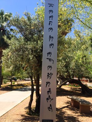 Arizona State Museum by null