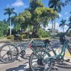 Pedego Electric Bikes Fort Myers gift card