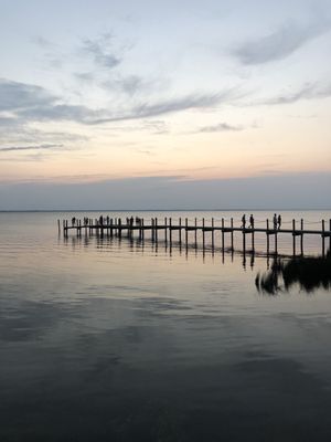 The Blue Point by null