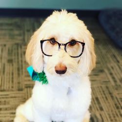 Twenty Twenty Family Vision Center - Murphy!