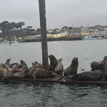 Lost Isle Adventures - Boat Tours Near Me - Morro Bay, California