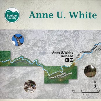 Anne U White Trail - Hiking Near Me - Longmont, Colorado Anne U White Trail - Hiking Near Me - Longmont, Colorado