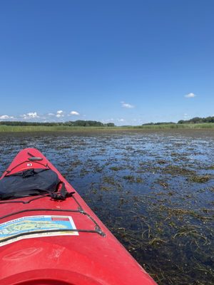 Boucherville Islands National Park by null