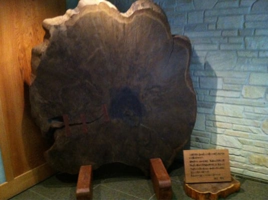 Gora Hanaougi by null