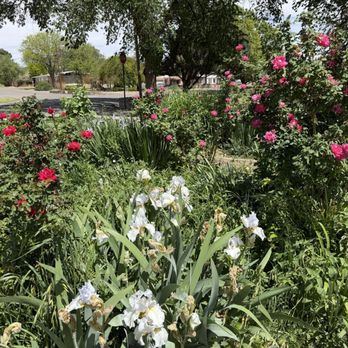 Roswell Public Garden - 4.16.2026 - Parks Near Me - Roswell, New Mexico