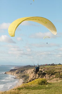 Torrey Pines Gliderport by null